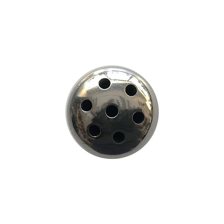 Stainless Steel Shower Penis Plug