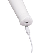 LE WAND CLASSIQUE PETITE WAND MASSAGER