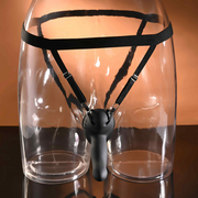 Evolved Come Closer - harness with RC vibrating
