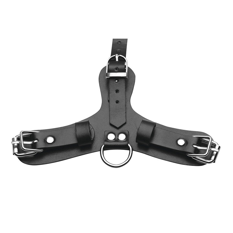 Pup Puppy Play Hood and Breathable Ball Gag