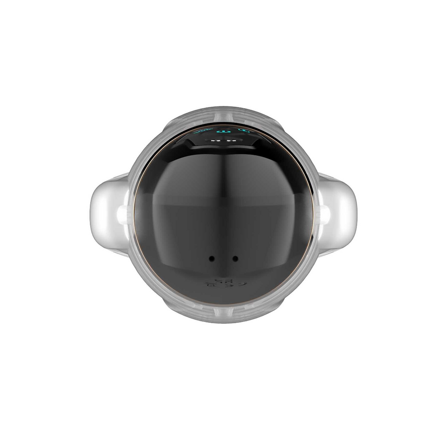 Adam & Eve Adam's Gawk Gawk 2.0 Sucking & Vibrating Sleeve