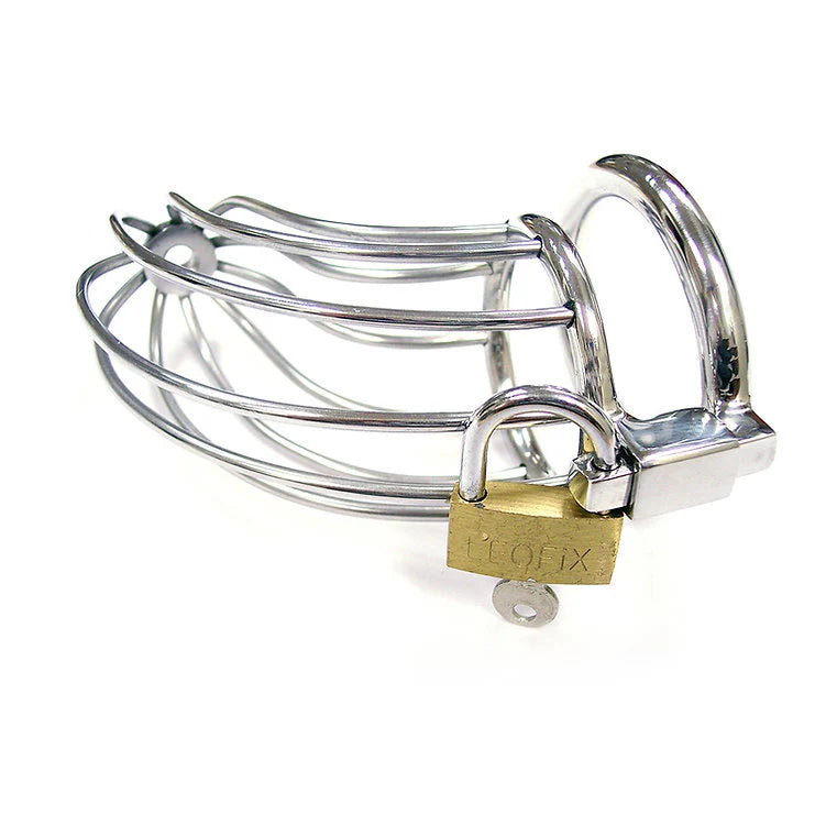 Stainless Steel Chasity Cock Cage with Padlock