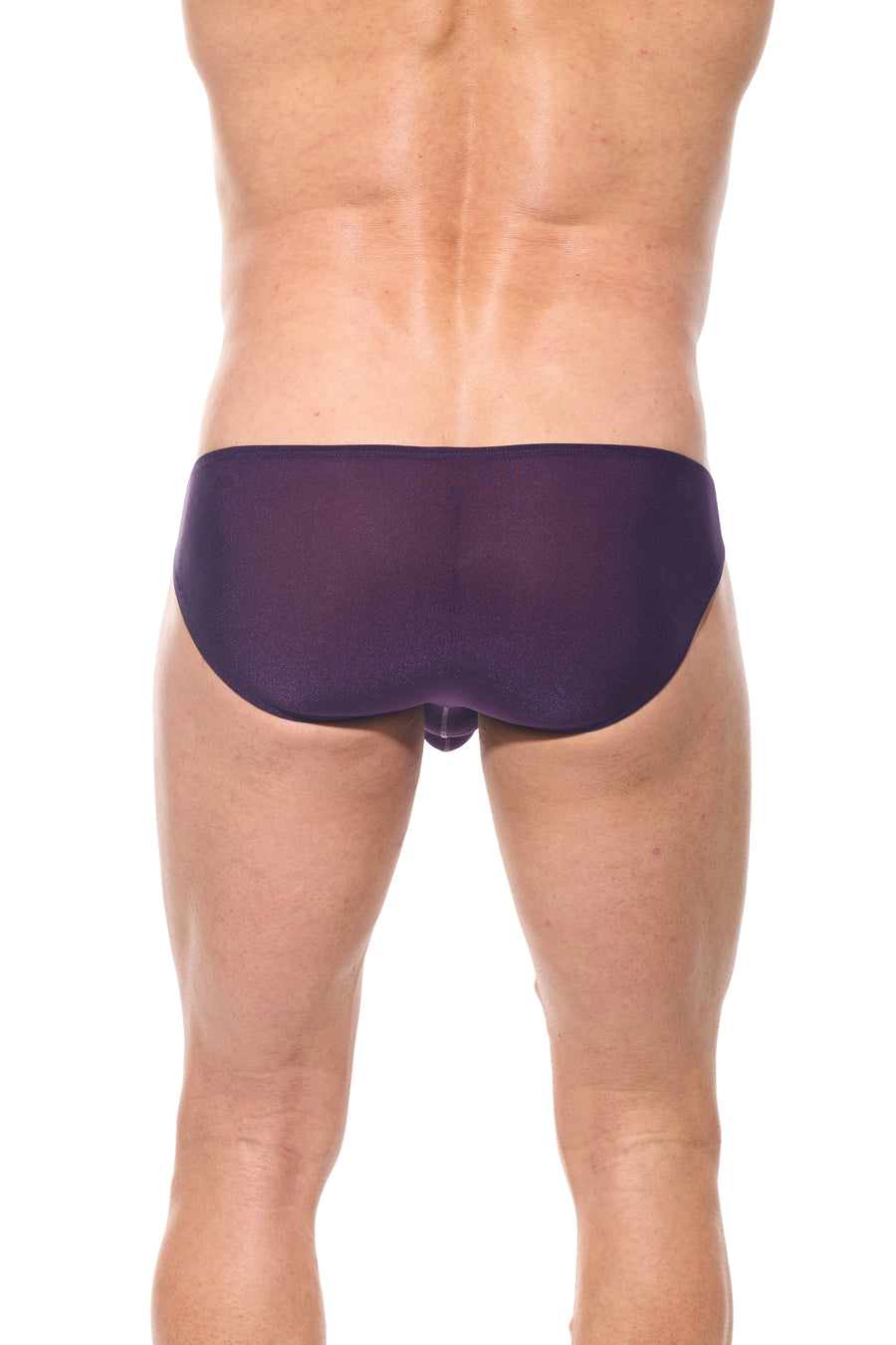 TORRIDZ Briefs Plum