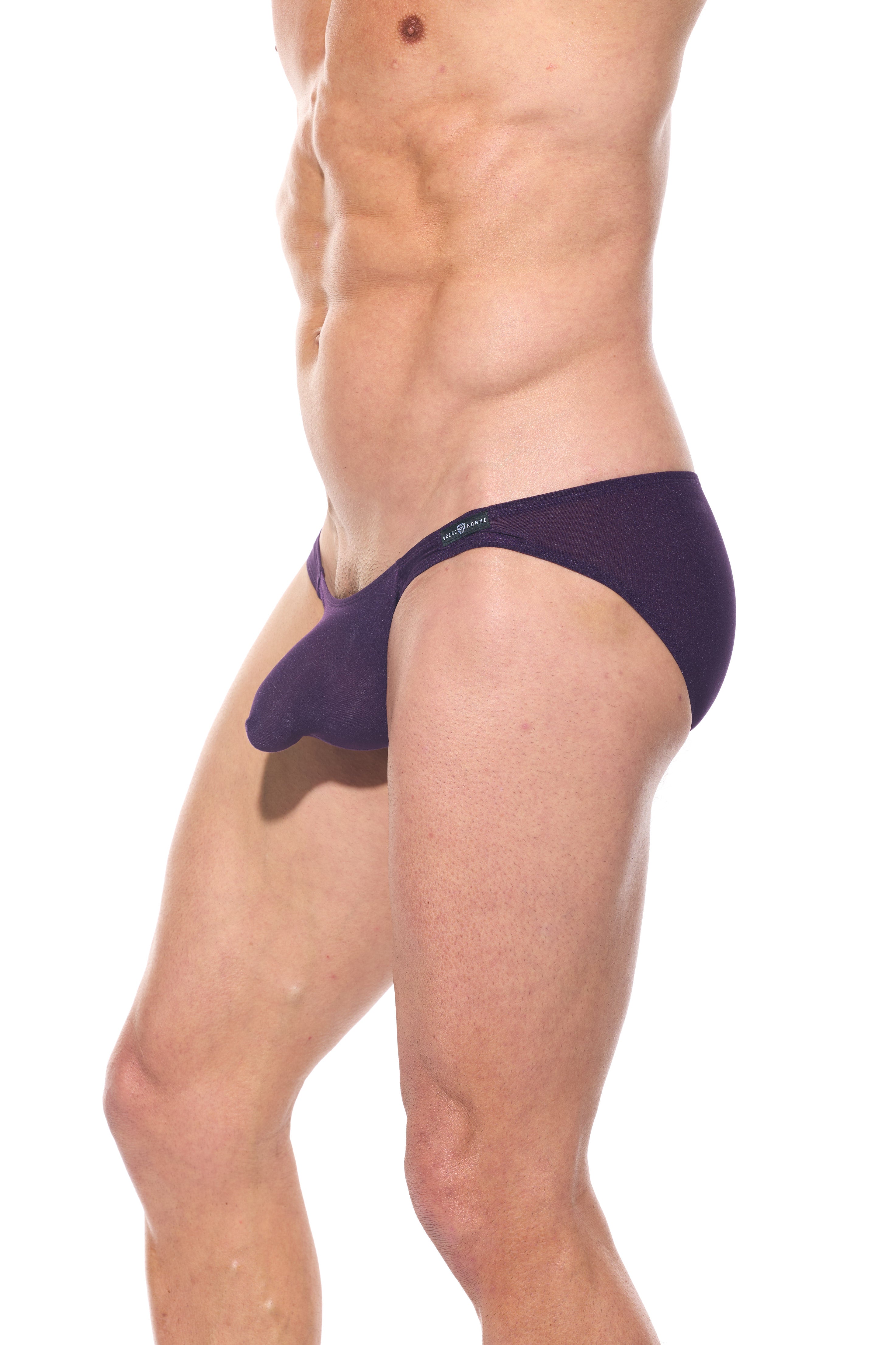 TORRIDZ Briefs Plum