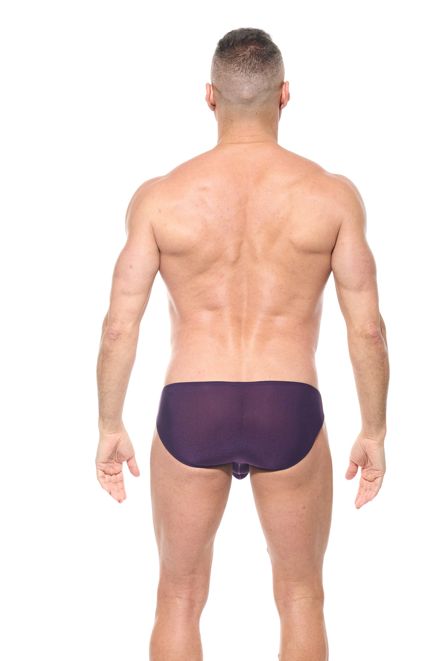 TORRIDZ Briefs Plum