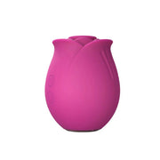 Blush Collection The Original Blush Rose