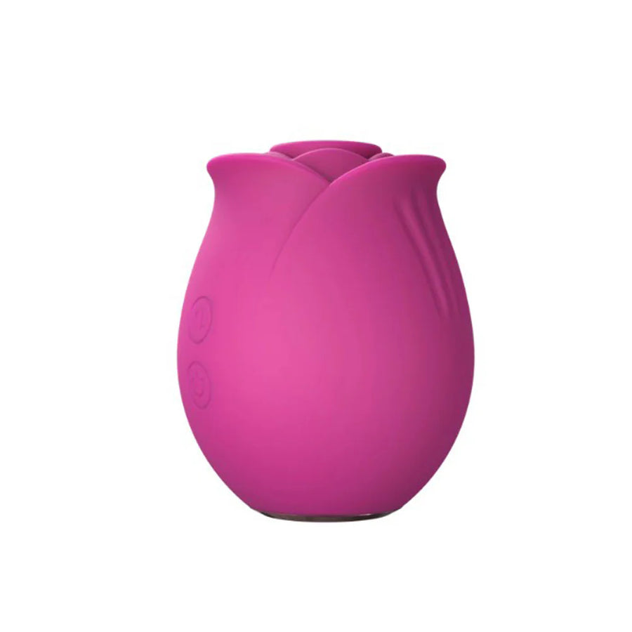Blush Collection The Original Blush Rose