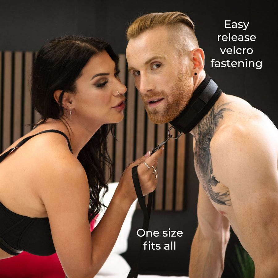 SEI MIO Take the Lead Padded Collar/Leas