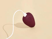 Pom