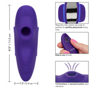 Lock-n-Play Remote Suction Panty Teaser