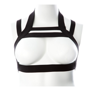 Gender Fluid Magesty Harness S-L