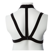 Gender Fluid Magesty Harness L-XXL
