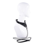 Velvet Noir Collar & Leash