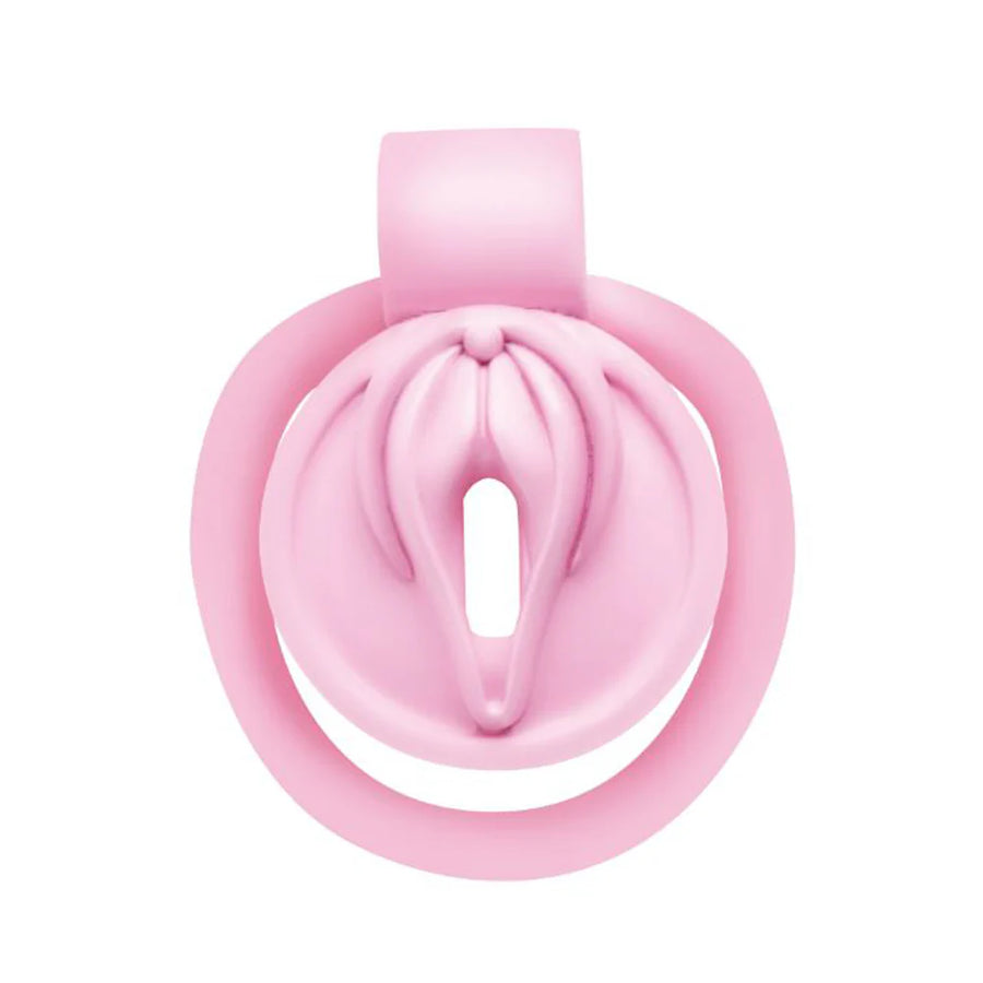 Pussification Chastity Cock Cage