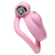 Pussification Chastity Cock Cage