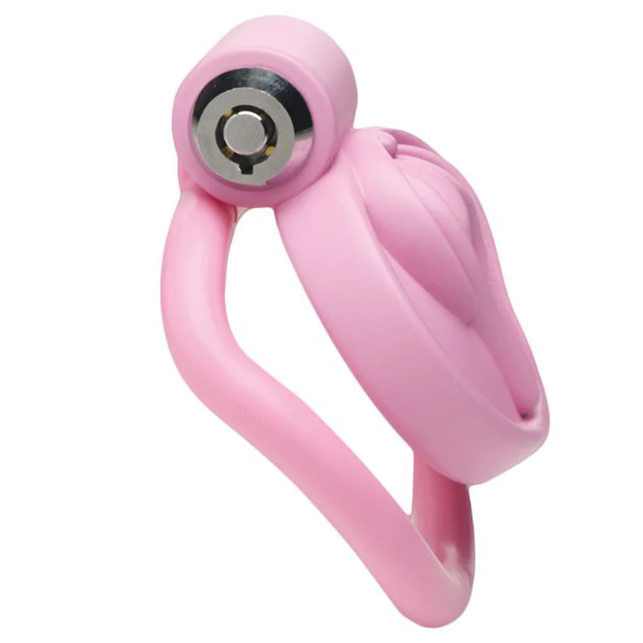 Pussification Chastity Cock Cage