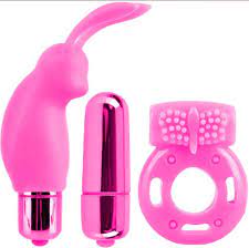 Neon Vibrating Couples Kit