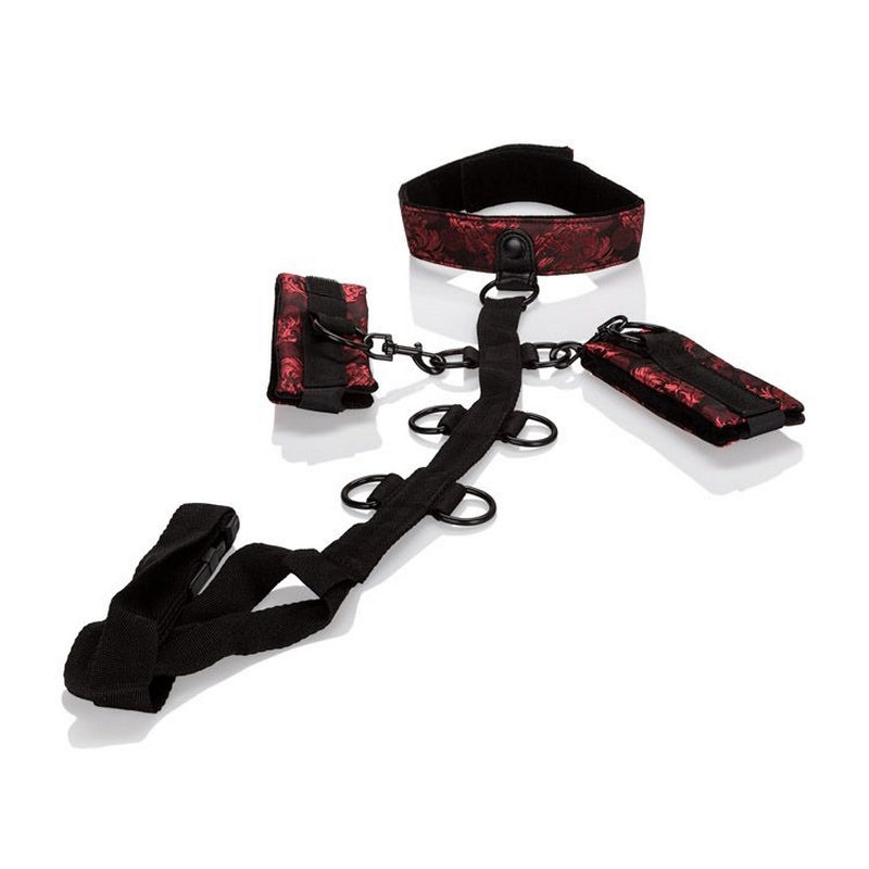 Scandal Collar Body Restraints